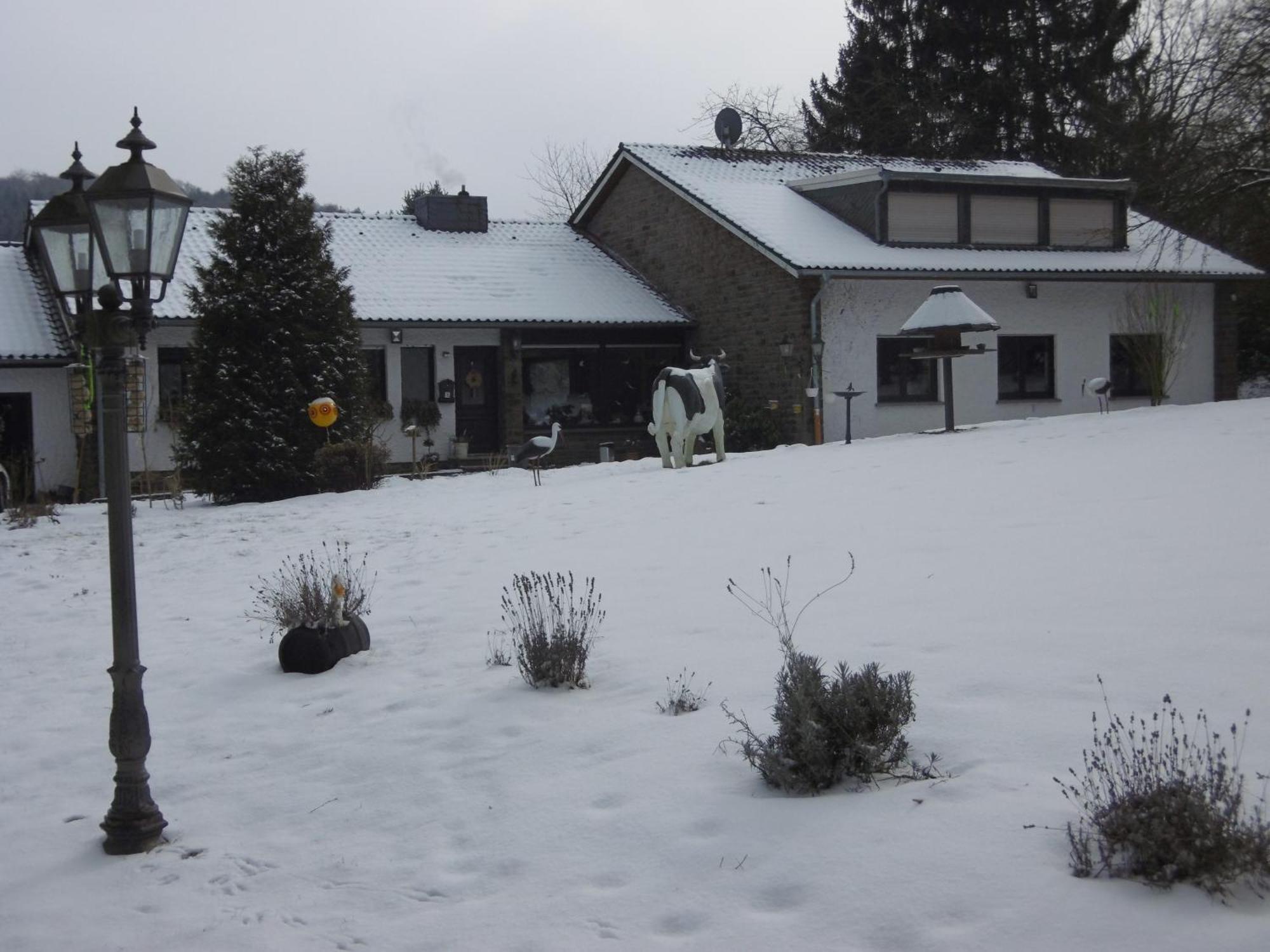 Land Des Friedens In Nettersheim / Eifel Apartment Exterior foto